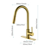 Kitchen Faucet with Pull Down Sprayer W2287P152910