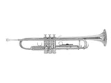Brass Trumpet Bb with 7C Mouthpiece for Standard Student or Beginner Silver 03408510
