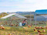 20 x 10 ft Large Metal Chicken Coop, Walk-in Poultry Cage Chicken Hen Run House with Waterproof 01979242