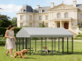 Dog Kennel Outdoor 20976984