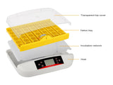 42-Egg Practical Fully Automatic Poultry Incubator with Egg Candler US Standard 08717076