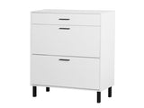 Shoe Cabinet, Freestanding Shoe Rack Organizer with Drawers & Metal Legs, Modern Shoe W40981153