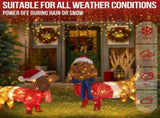 Set of 2 Lighted Dachshund Dog Christmas Decorations, Pre-lit Holiday Decor with 115 Warm White LED 87696606