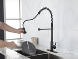 Spring kitchen with pull-out sprayer, stainless steel single handle single hole kitchen sink W2287P183742
