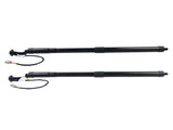 2X Tailgate Gas Struts Unit Assy Rear for Lexus NX300 NX300h 2.0L AZ10 2018-2021 68920-79017 06287096