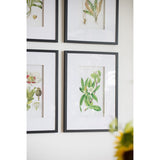 Set of 4 Botanical Flower Wall Art, Home Decor for Living Room, Dining Room, Bedroom, Hallway, 20" x W2078130294