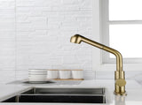 Single-Handle Pull-Out Sprayer Kitchen Faucet in Stainless Gold 63433235