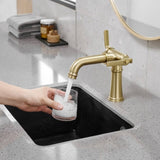 ZNTS Industrial Pipe-Style Bathroom Faucet Brushed Gold 2-Handle Vanity Mixer Tap Pop-Up Drain Included W1920P254920