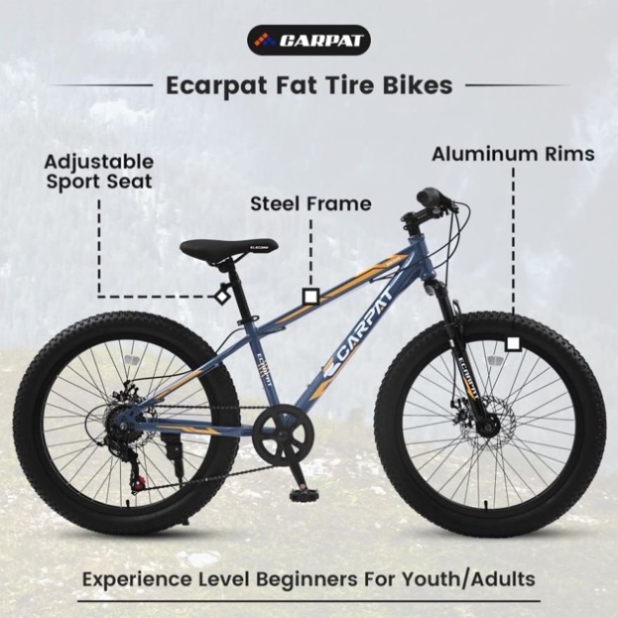 Adult fat fashion tire bike