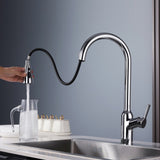 ZNTS Kitchen Faucet with Pull Down Sprayer Chrome, High Arc Single Handle Kitchen Sink Faucet , W1177125180