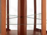 Corner Glass Cabinet Lighted Curio Cabinet Corner Display Case for Living Room, Curio Cabinet, W2275P296058