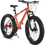 ZNTS S26109 26 Inch Fat Tire Bike Adult/Youth Full Shimano 21 Speed Mountain Bike, Dual Disc Brake, W1856121710