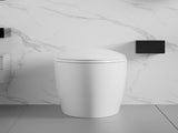 Unique Smart Toilet with Bidet Built In, Intelligent One Piece Toilet For Modern Bathroom, Auto W2826P230233
