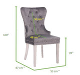 Simba Stainless Steel 2 Piece Chair Finish with Velvet Fabric in Dark Gray 808857571366