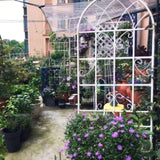 4 Pack Metal Garden Trellis 71" x 19.7" Rustproof Trellis for Climbing Plants Outdoor Flower Support W1586P147434