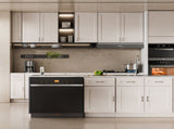 21" White Shaker Solid Wood Singel door Wall Cabinet, 2 adjustable shelves, softclose hinges, RTA W5662P465990