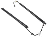 Set of 2 Rear Left and Right Tailgate Lift Support Fit for Kia Sedona Van 3.3L V6 2015-2021 Black 74844591
