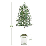 Artificial Olive Tree 8FT with Pot and Moss, Artificial Plants for Home Office Decor T3210P298178