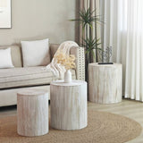 Set of 3 Whitewash Wood Coffee Table with clear and visible tree rings W2729P209831