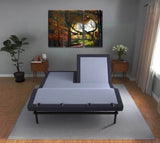 BT3000 Flex Head Queen Adjustable Bed Base With Head and Foot Position Adjustment B337P292240