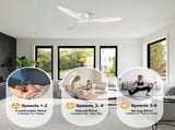 52 Inch Flush Mount Ceiling Fan Without Light, DC Motor, 6Speed & 3 Timers, Remote Control, ABS & W3816P585730
