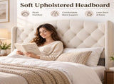 King Size Upholstered Platform Bed Frame with Velvet Tufted Headboard, Heavy Duty Metal Slats W636P557212