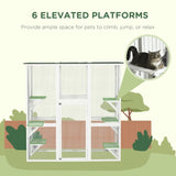 Cat House 41259623