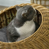 Ratten Cat Bed 96418647