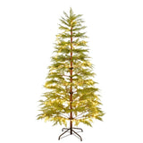 6 Feet Artificial Full Christmas Tree Includes LED Lights and Metal Stand, 612 Tips Full Tree,Xmas N710P181792S