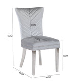 ZNTS Eva 2 Piece Stainless Steel Legs Chair Finish with Velvet Fabric in Silver 733569295678