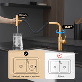 Kitchen Sink, Nickel Gold Kitchens with Pull out Sprayer, Bar Single Hole W1932P218070