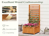 2-in-1 Wooden Raised Garden Bed with Trellis, Efficient Drainage System for Climbing Plants & 60342727