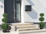2pcs Artificial Plant 20517520