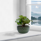 Handmade Glazed Ceramic Planter Set of 3, 15/12/10 Inch Diameter, Hammered Pattern, for Bamboo & W3273P321525