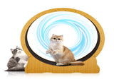 Cat Wheel Exerciser for Indoor Cats, 43.3-inch Large Cat Exercise Wheel for Running Silent, Cat 07677177