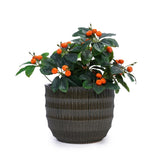 Handmade Dark Coffee Ceramic Planter Set of 4 , Indoor/Outdoor Flower Pot for W3273P321575