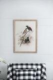 S/2 Bird Framed Print, 19.5x27.5" W2078P205301
