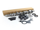 Camshaft Lifter Kit for 2004-2006 Volkswagen New Beetle Jetta MK4 Golf BEW 038145215 71153053