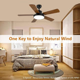 ZNTS 44-inch Ceiling Fan with LED Light and Remote Control, 6-Speed Modes, 2 Rotating Modes, Timer, W1134P230320