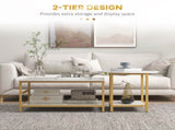 Set of 2 Coffee Tables 15825021