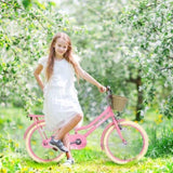 Multiple Colors,Girls Bike with Basket for 7-10 Years Old Kids,20 inch wheel ,No Training Wheels W1019P171907
