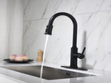 Single Handle Pull Down Kitchen Faucet with Dual Function Sprayhead 14563295