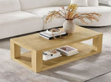 Modern Design 48 Inch Rectangular Coffee Table,2-Tier MDF Rectangle Coffee Table for Living W2582P344069