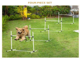 Dog agility training equipment 40236129