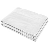 9.8' x 6.6' x 6.6' Plastic Greenhouse Cover Replacement, Heavy Duty Waterproof Tarp for Hoop House, W2225142625