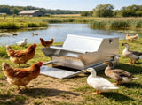 Automatic Chicken Feeder 09615396