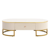 Modern Oval Coffee Table with Drawers,Curved Profile Design, Gold Metal Decor, Center Table for N735P192897K