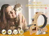 Cat Wheel 6-in-1 Cat Exercise Wheel,Upgraded Cat Wheel Exerciser for Indoor Cats,Large Cat 27068312