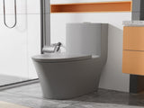 Matte Grey Elongated One Piece Toilet Dual Flush 1.1/1.6 GPF Water Saving Comfort Seat Height, Map W2826P192008