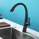 Stainless Steel Pull Out Kitchen Faucet W1217125154